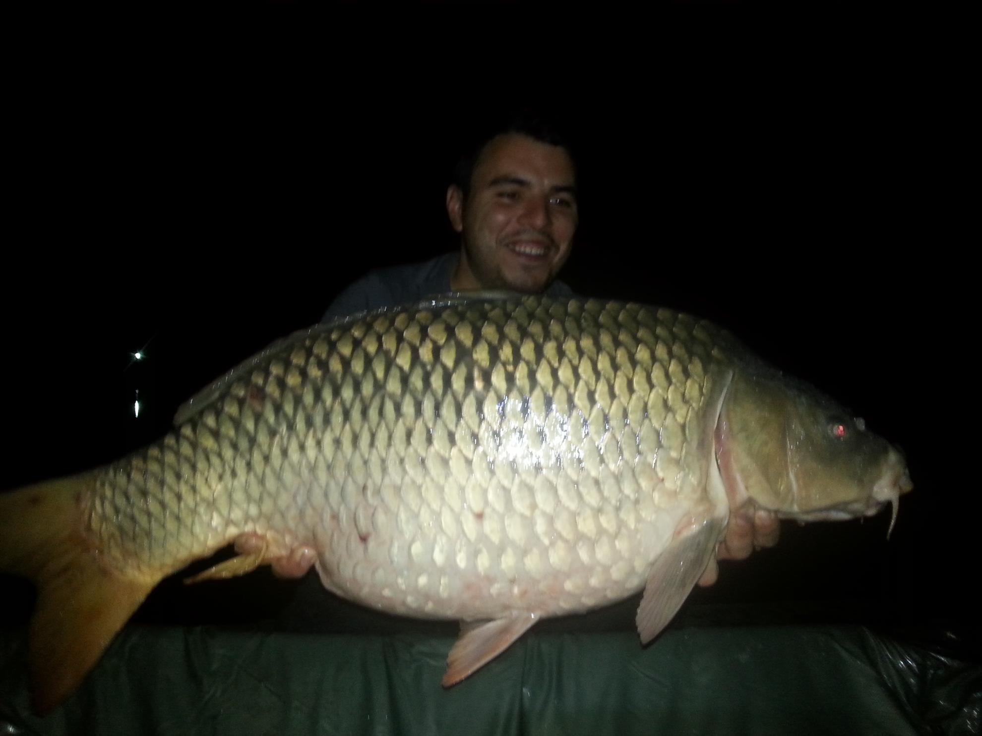 Moara Vlasiei 2 28 - 30 august 2015 - 20150829005106.jpg